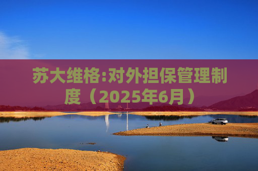 苏大维格:对外担保管理制度（2025年6月）  第1张