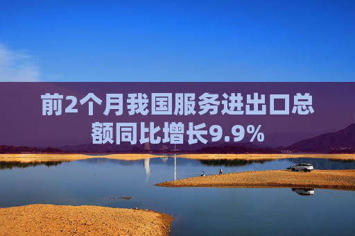 前2个月我国服务进出口总额同比增长9.9%  第1张