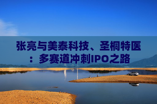 张亮与美泰科技、圣桐特医:多赛道冲刺IPO之路