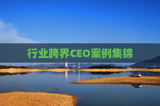 行业跨界CEO案例集锦