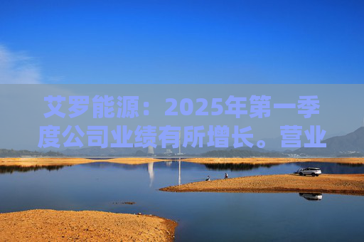 艾罗能源：2025年第一季度公司业绩有所增长。营业收入为7.99亿元
