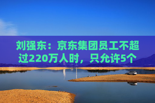 刘强东：京东集团员工不超过220万人时，只允许5个组织层级