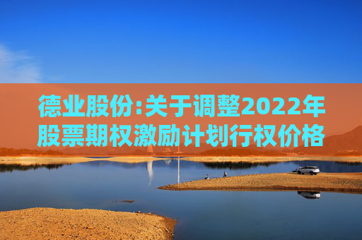 德业股份:关于调整2022年股票期权激励计划行权价格及数量的公告
