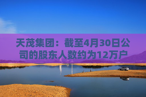 天茂集团：截至4月30日公司的股东人数约为12万户