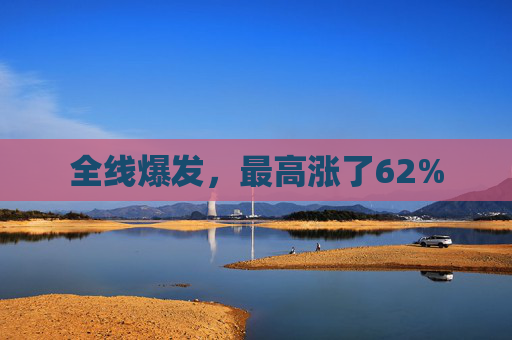 全线爆发，最高涨了62%