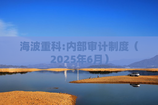 海波重科:内部审计制度（2025年6月）  第1张