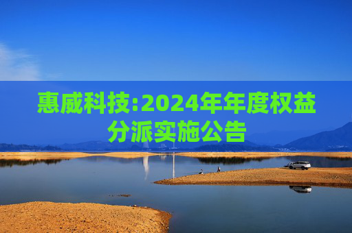 惠威科技:2024年年度权益分派实施公告