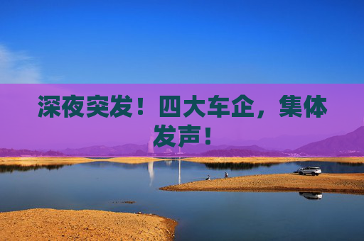 深夜突发！四大车企，集体发声！