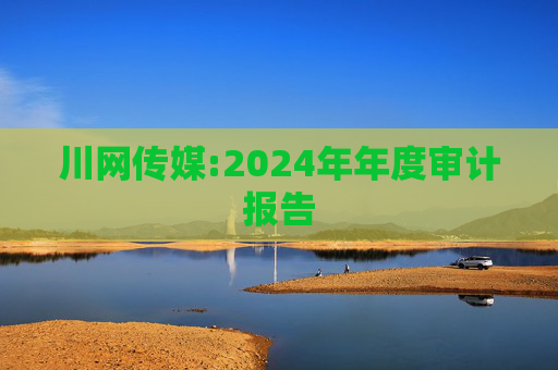 川网传媒:2024年年度审计报告