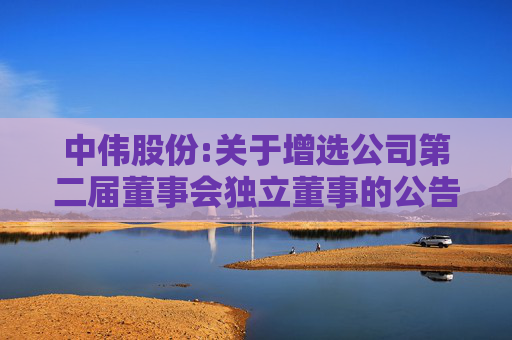 中伟股份:关于增选公司第二届董事会独立董事的公告
