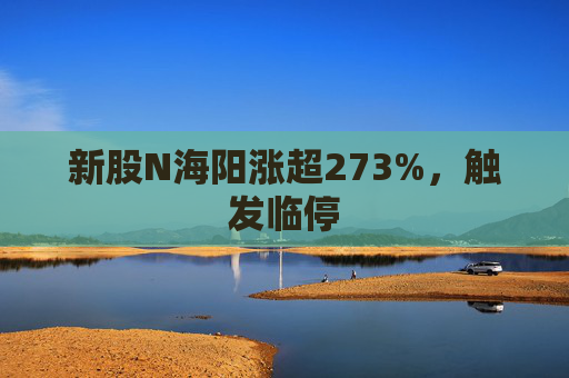 新股N海阳涨超273%,触发临停