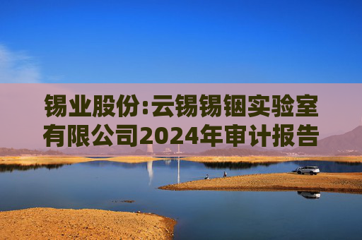 锡业股份:云锡锡铟实验室有限公司2024年审计报告