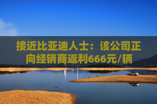 接近比亚迪人士：该公司正向经销商返利666元/辆