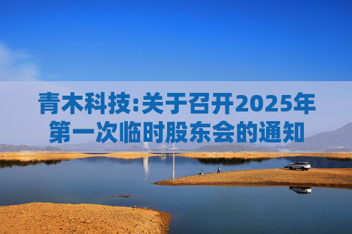青木科技:关于召开2025年第一次临时股东会的通知