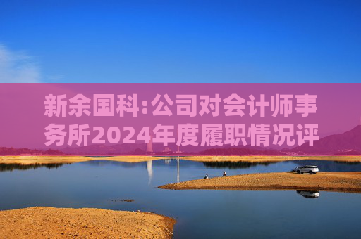 新余国科:公司对会计师事务所2024年度履职情况评估报告  第1张