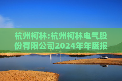 杭州柯林:杭州柯林电气股份有限公司2024年年度报告