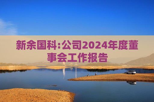 新余国科:公司2024年度董事会工作报告