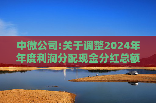 中微公司:关于调整2024年年度利润分配现金分红总额的公告
