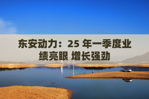东安动力：25 年一季度业绩亮眼 增长强劲