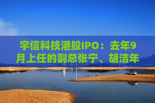 宇信科技港股IPO：去年9月上任的副总张宁、胡洁年薪百万，2015年上任的副总郑春年薪73.5万