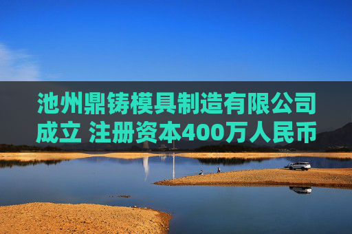 池州鼎铸模具制造有限公司成立 注册资本400万人民币