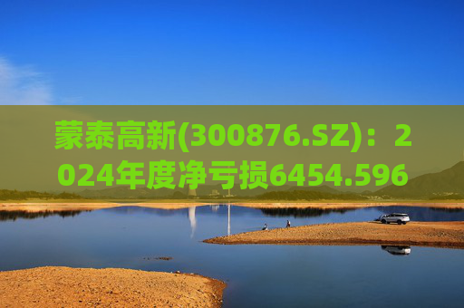 蒙泰高新(300876.SZ)：2024年度净亏损6454.596万元