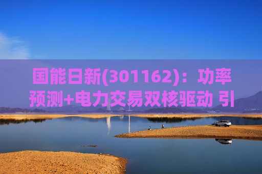 国能日新(301162)：功率预测+电力交易双核驱动 引领业绩持续高增长
