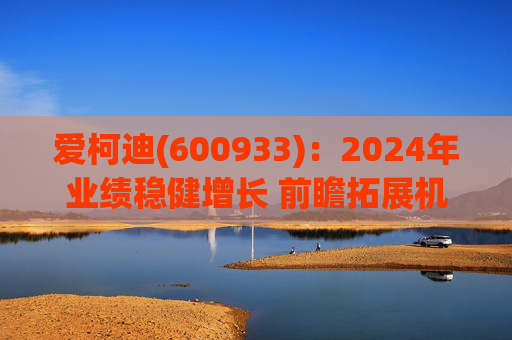 爱柯迪(600933)：2024年业绩稳健增长 前瞻拓展机器人相关业务