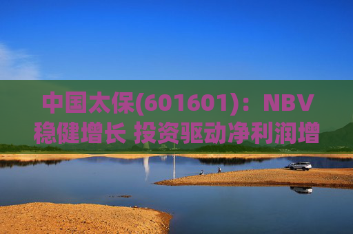 中国太保(601601)：NBV稳健增长 投资驱动净利润增速提升  第1张