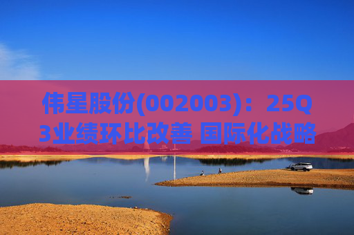 伟星股份(002003)：25Q3业绩环比改善 国际化战略保障成长  第1张