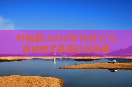 特锐德:2025年10月31日投资者关系活动记录表