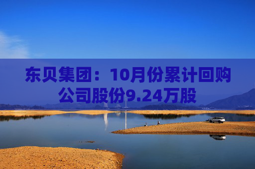 东贝集团：10月份累计回购公司股份9.24万股