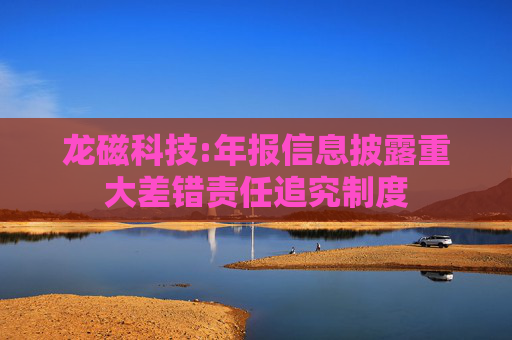 龙磁科技:年报信息披露重大差错责任追究制度