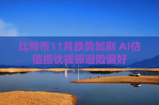 比特币11月跌势加剧 AI估值担忧提振避险偏好  第1张