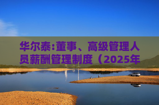 华尔泰:董事、高级管理人员薪酬管理制度（2025年11月）  第1张