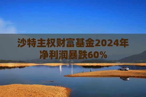 沙特主权财富基金2024年净利润暴跌60%