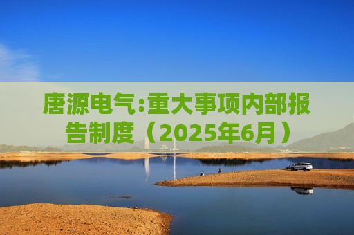 唐源电气:重大事项内部报告制度（2025年6月）