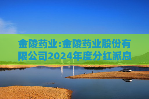 金陵药业:金陵药业股份有限公司2024年度分红派息实施公告