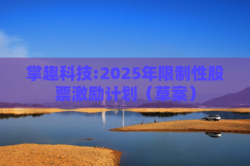掌趣科技:2025年限制性股票激励计划（草案）