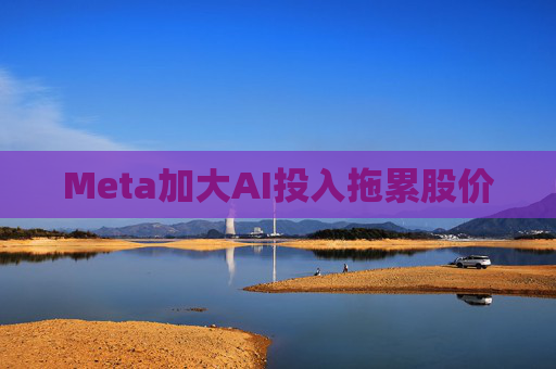 Meta加大AI投入拖累股价