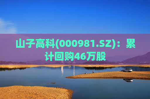 山子高科(000981.SZ):累计回购46万股