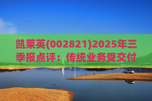 凯莱英(002821)2025年三季报点评：传统业务受交付节奏影响 新兴业务加速放量