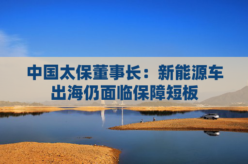 中国太保董事长：新能源车出海仍面临保障短板
