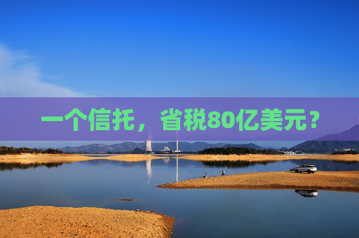 一个信托，省税80亿美元？  第1张