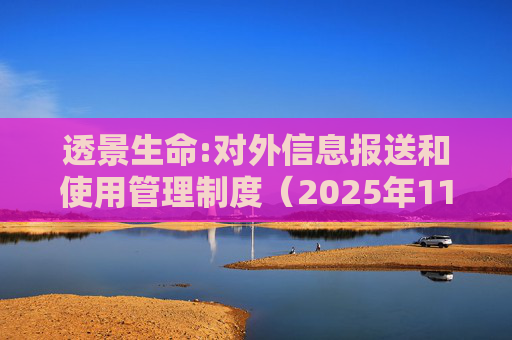 透景生命:对外信息报送和使用管理制度（2025年11月）