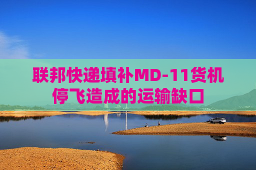 联邦快递填补MD-11货机停飞造成的运输缺口  第1张
