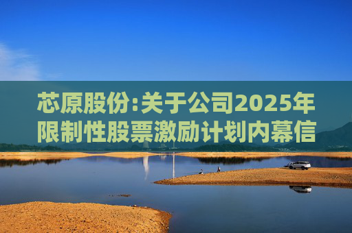 芯原股份:关于公司2025年限制性股票激励计划内幕信息知情人买卖公司股票情况的自查报告