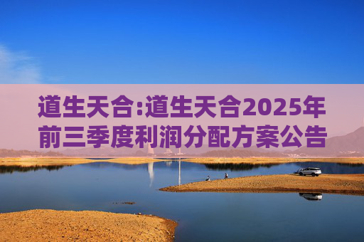 道生天合:道生天合2025年前三季度利润分配方案公告