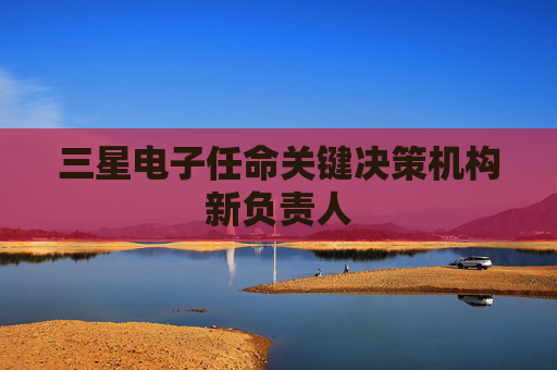 三星电子任命关键决策机构新负责人