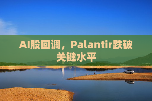 AI股回调，Palantir跌破关键水平